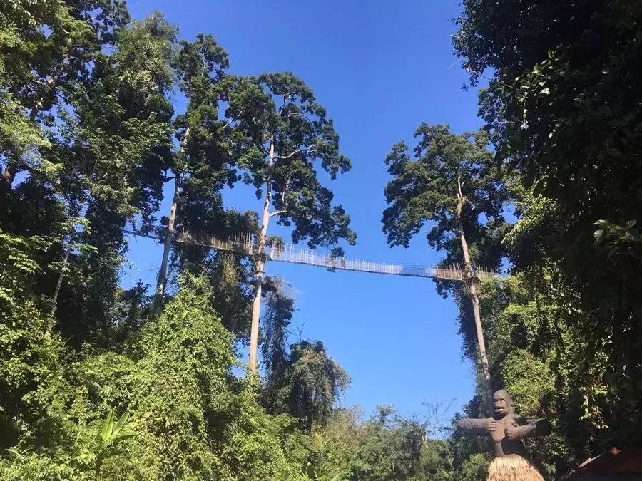 国庆节节成都五日游攻略,元旦成都出发两天一夜旅游攻略