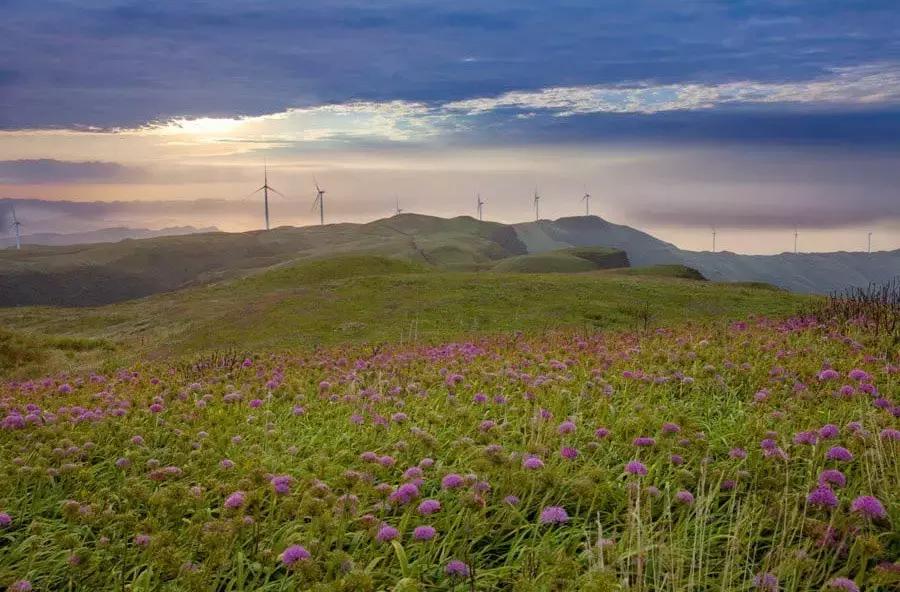 国庆节节成都五日游攻略,元旦成都出发两天一夜旅游攻略