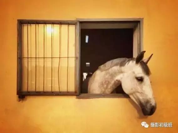 手机后期修图入门教程,手机修图如何修得有质感