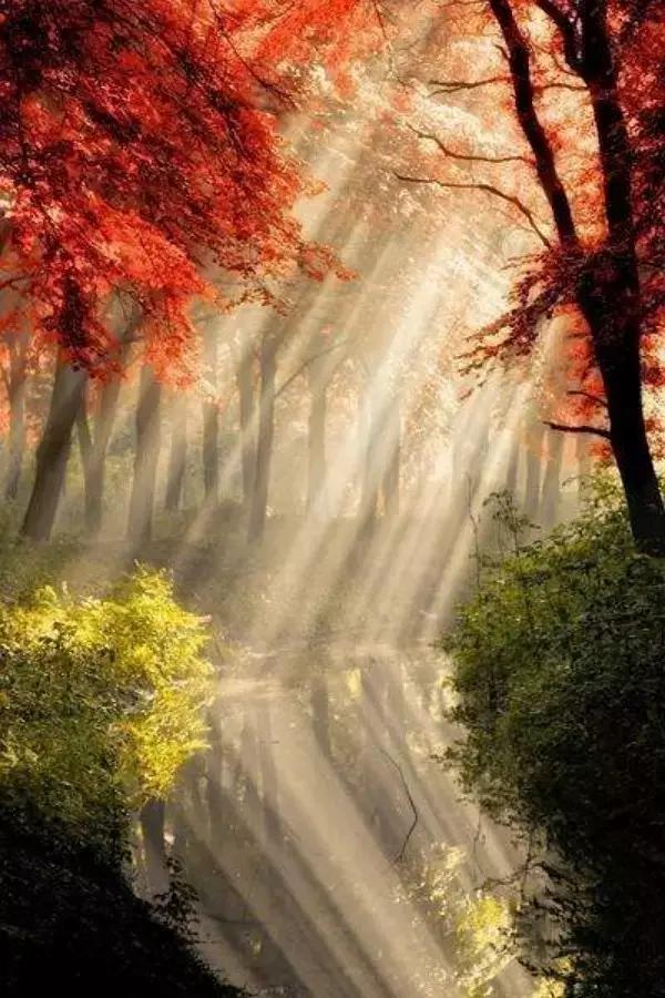 纳兰词六首我是人间惆怅客,纳兰容若我是人间惆怅客全诗