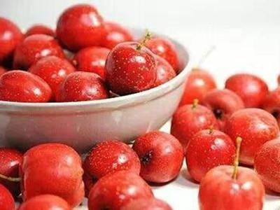 秋季养生吃哪些应季水果,进入秋季吃哪些水果能滋阴润肺