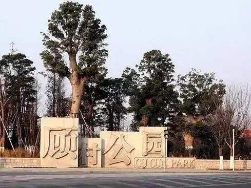 上海坐地铁直达的玩的地方,上海地铁直达花海