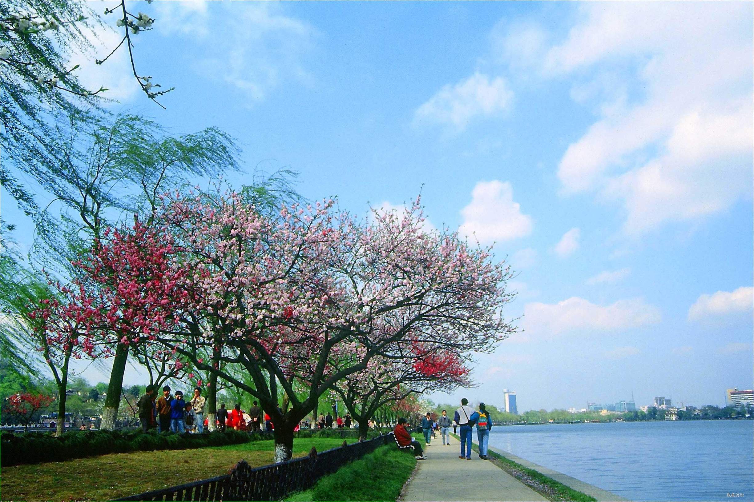 杭州地铁凤起路站哪个出口到西湖,西湖哪个地铁口最好