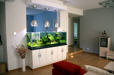 新中式鱼缸摆放客厅效果图,客厅摆放鱼缸有何讲究