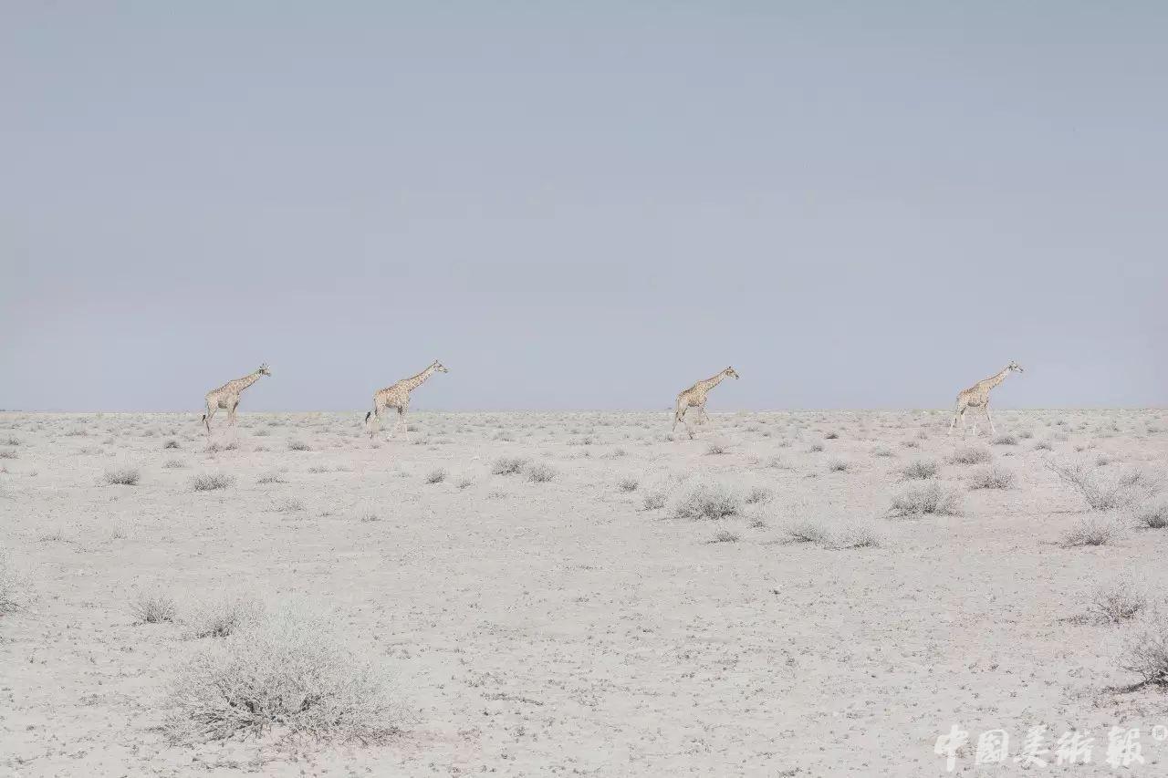 影像史料收藏,影像留住好时光