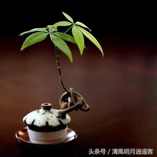 经典中的经典，源自古诗词里的36个成语