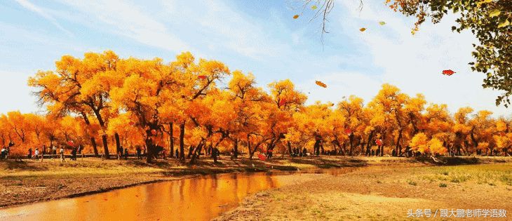 一年级上册课文秋天的练习题,语文部编版一年级上册第一课秋天