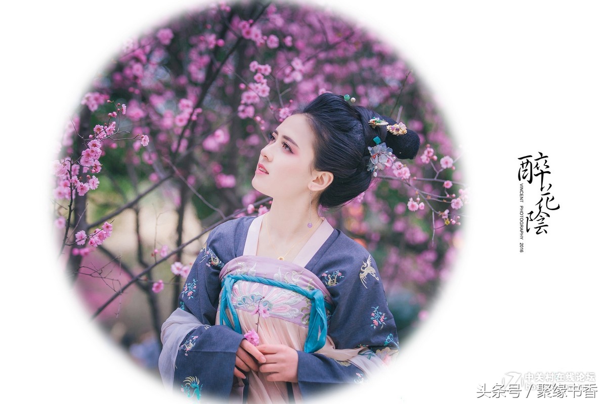 醉花阴宋李清照简短赏析,醉花阴宋李清照古诗的意思是什么