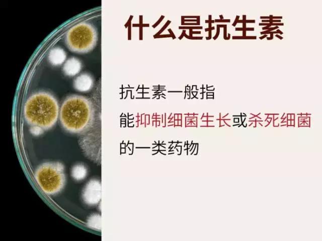 他用了抗生素，肺部烂成“棉花状”！抗生素到底是救人还是杀人？