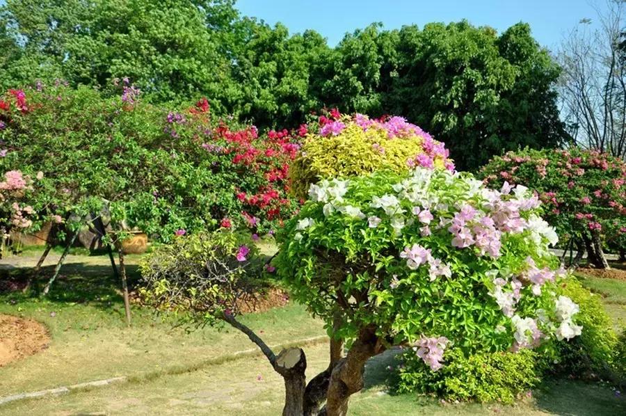 国庆节节成都五日游攻略,元旦成都出发两天一夜旅游攻略