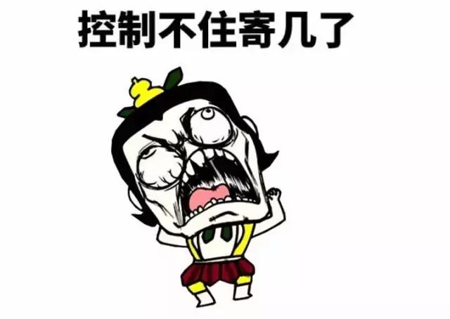 这位爱宠狂魔却是阻碍我和荷兰猪友谊道路上的始作俑者