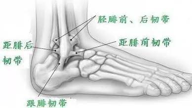 如何在球场上保护好自己的脚踝,脚踝一直受伤怎么进行恢复训练