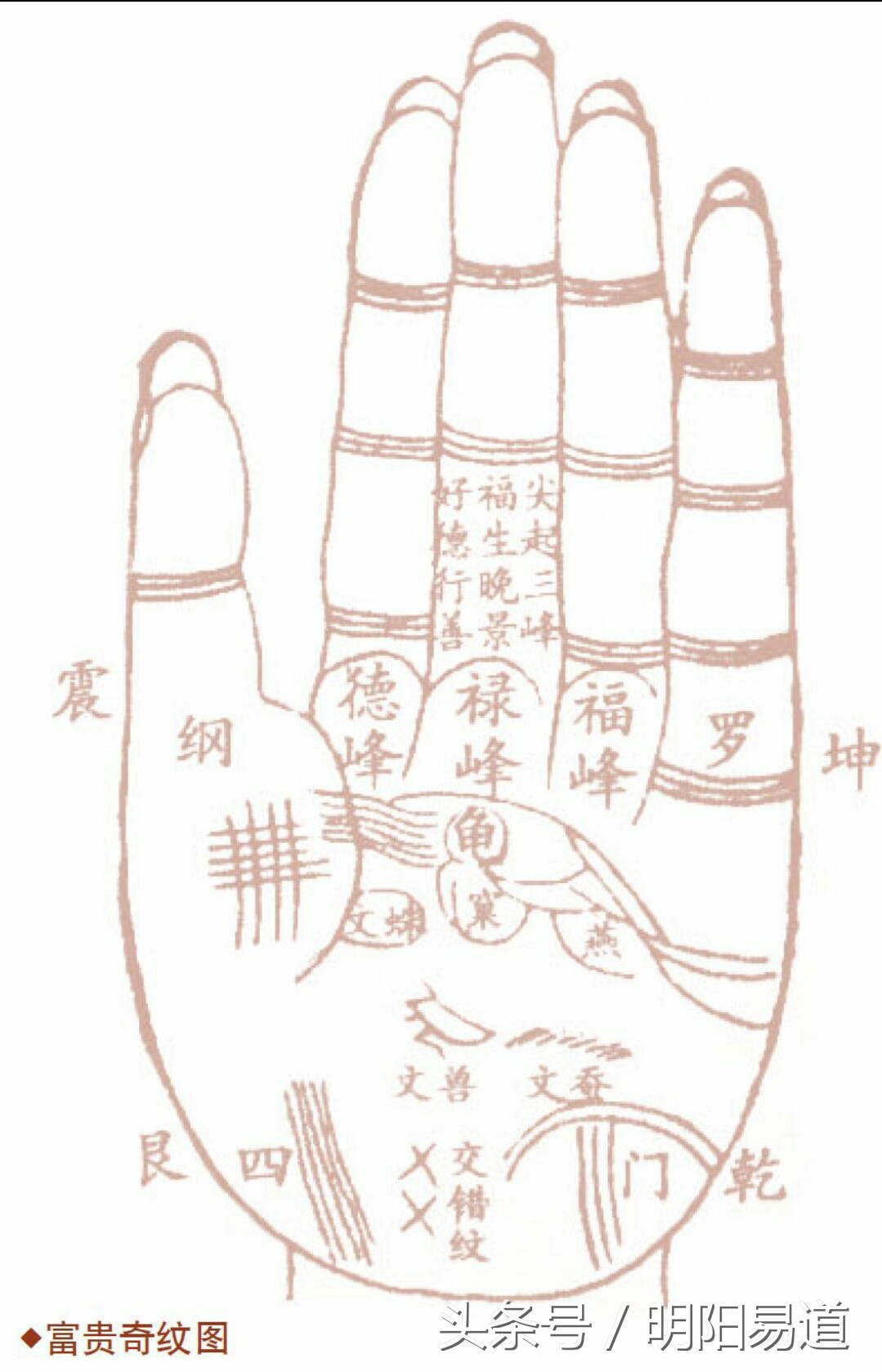 掌纹分析事业运势图片大全,如何看掌纹中的财运方位