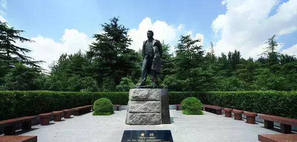 上海坐地铁直达的玩的地方,上海地铁直达花海