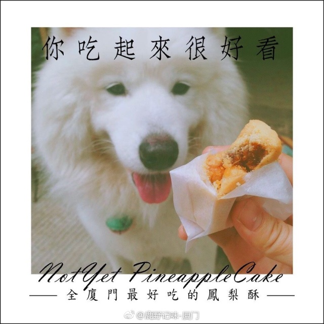 21年厦门游玩攻略,厦门金砖旅游路线