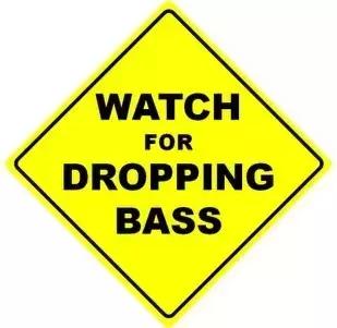 车载低音炮哪种最震撼,车载最强低音炮