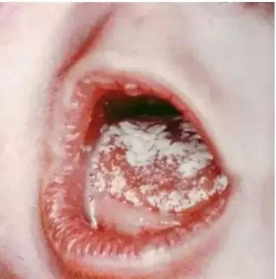 拿什么拯救你我的兄弟小品郑恺,拿什么拯救你我的爱人2