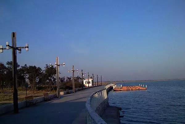 上海坐地铁直达的玩的地方,上海地铁直达花海