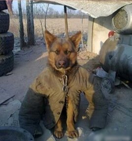 内涵笑话你看懂了吗,内涵笑话转折段子大全