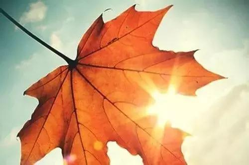 妈妈抗癌的路上辛苦了,妈妈别怕