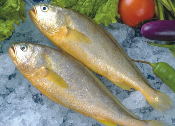 好养好吃的海鱼有哪些,哪些海鱼既好吃但又不能养殖