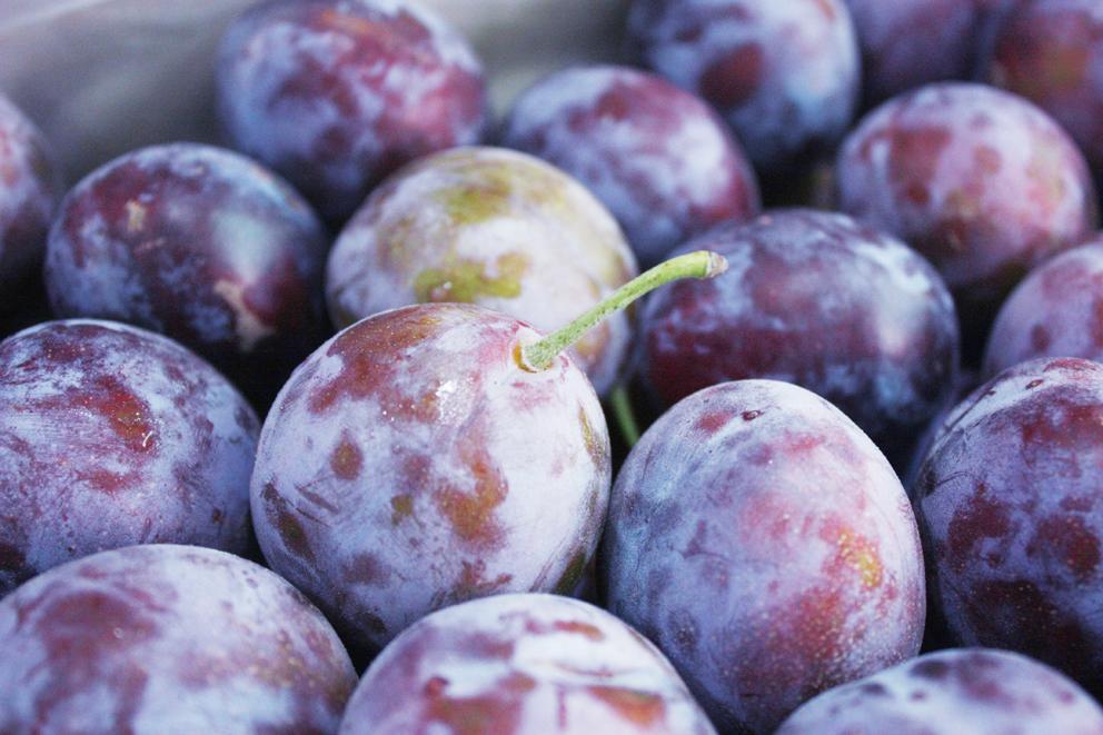 富含维生素降火护肝有益身体健康,哪种维生素是养肝护肝的