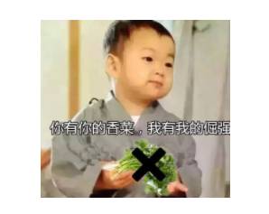 秋冬平价粉底大推荐适合混合,混油入秋粉底