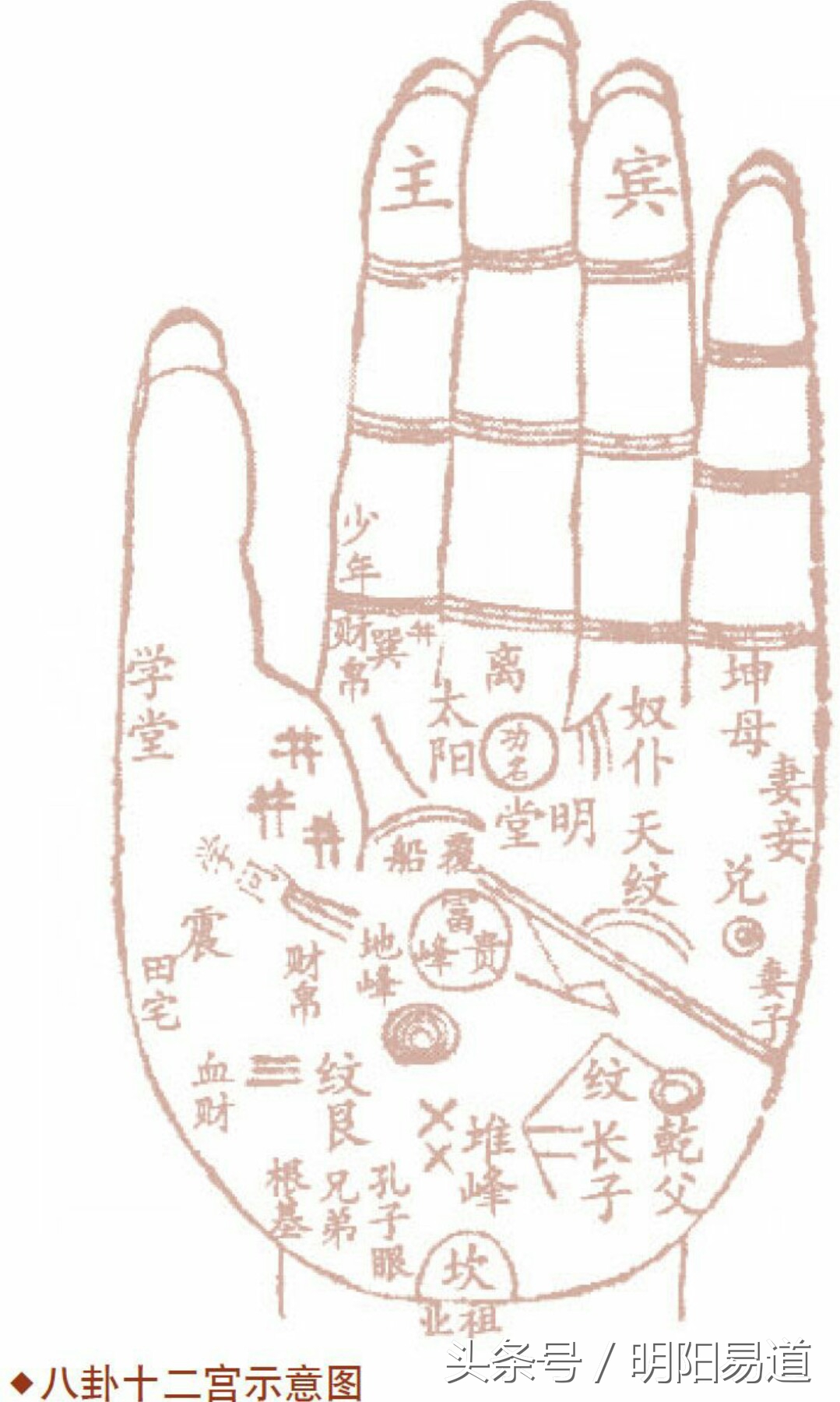 掌纹分析事业运势图片大全,如何看掌纹中的财运方位