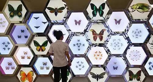 上海坐地铁直达的玩的地方,上海地铁直达花海