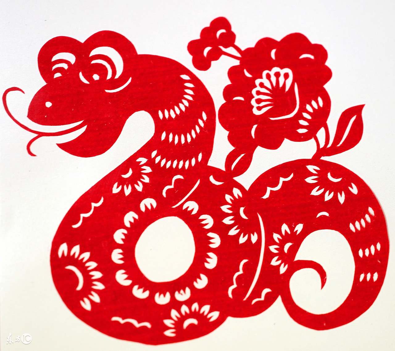 十二属相运势及注意事项,十二属相最新每日运势详解