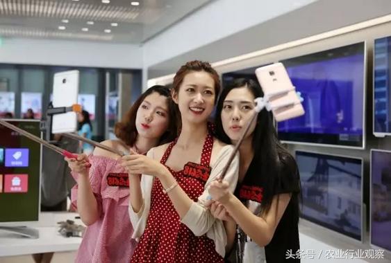 干货如何赚钱,干货如何做大