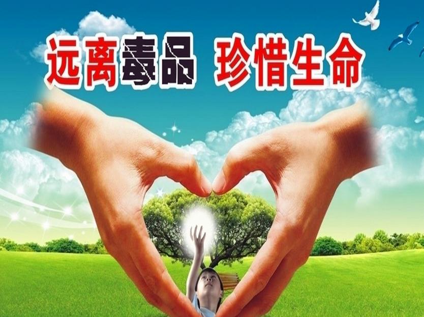 戒毒人员自我剖析,戒毒人的心得感悟