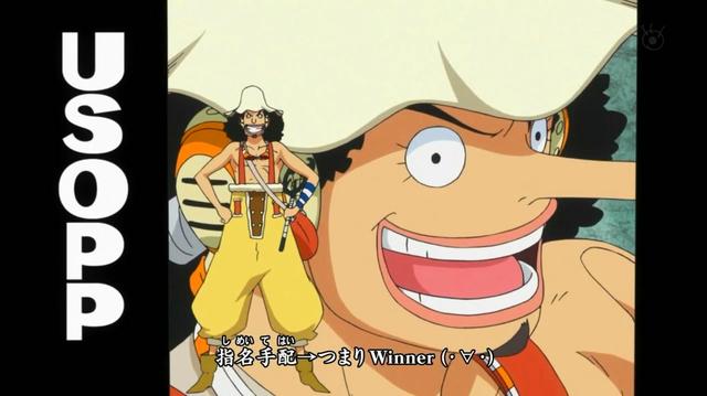 海贼王各式帽子,海贼王人物的帽子