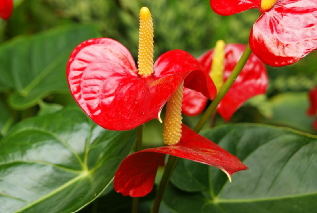 做人要有心机文案,做人要有心机视频