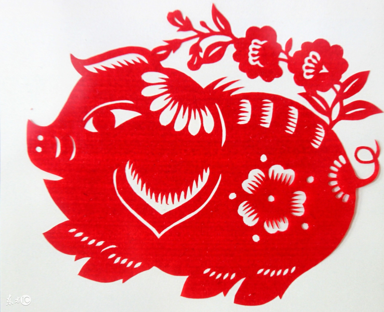 十二属相运势及注意事项,十二属相最新每日运势详解