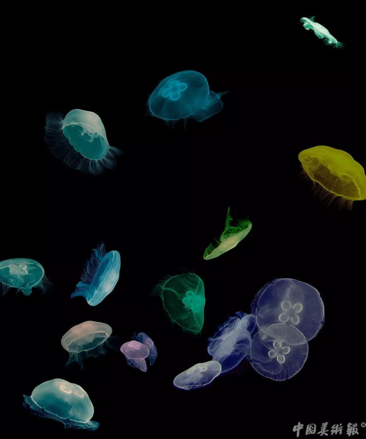 影像史料收藏,影像留住好时光