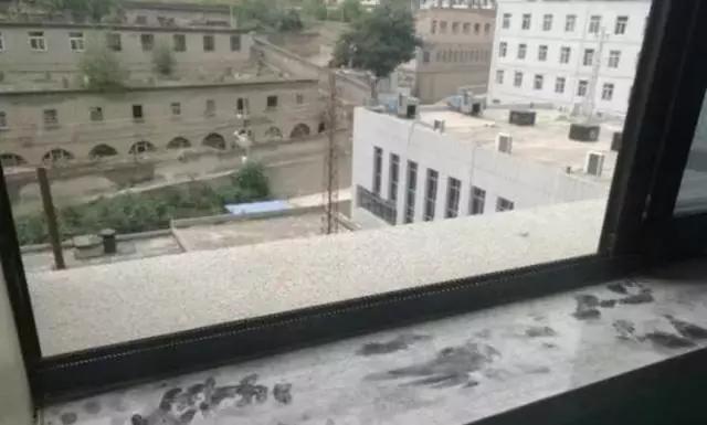 女子怀孕为鬼生子电影,鬼门闯关