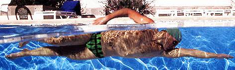 自由泳怎么提高速度和力量,自由泳动作标准但为何速度慢