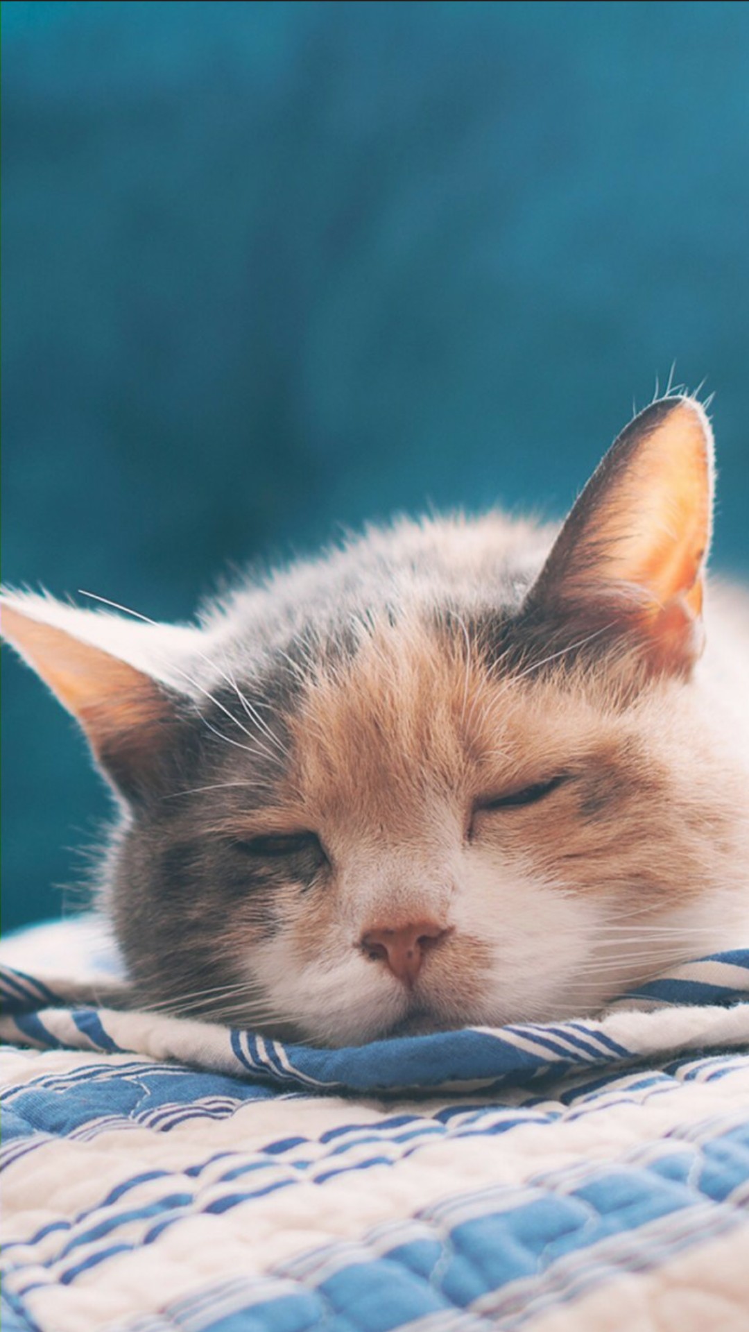 超多高清好看的壁纸,归来的奥特曼壁纸