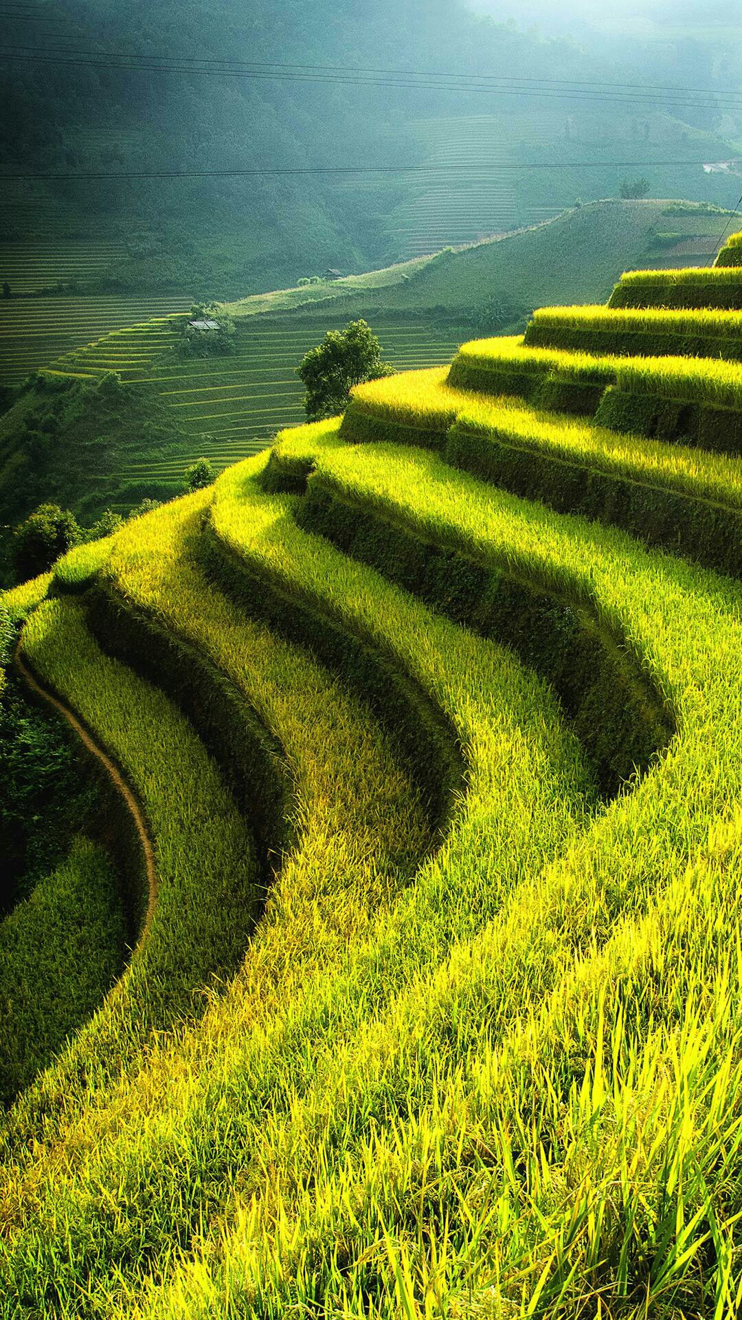 超多高清好看的壁纸,归来的奥特曼壁纸