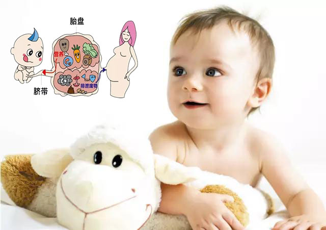 「昆山健康」脐带间充质干细胞—阻击衰老、改善亚健康