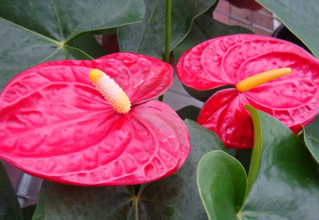 做人要有心机文案,做人要有心机视频