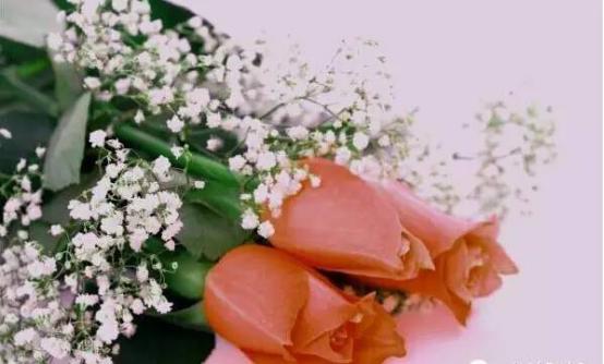 “谢谢你爱我，谢谢你一直都在”看完泪奔！