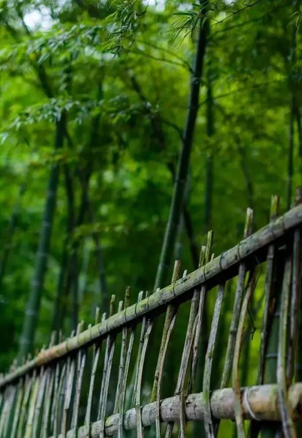 等一个风和日丽的日子,诗酒花茶的句子