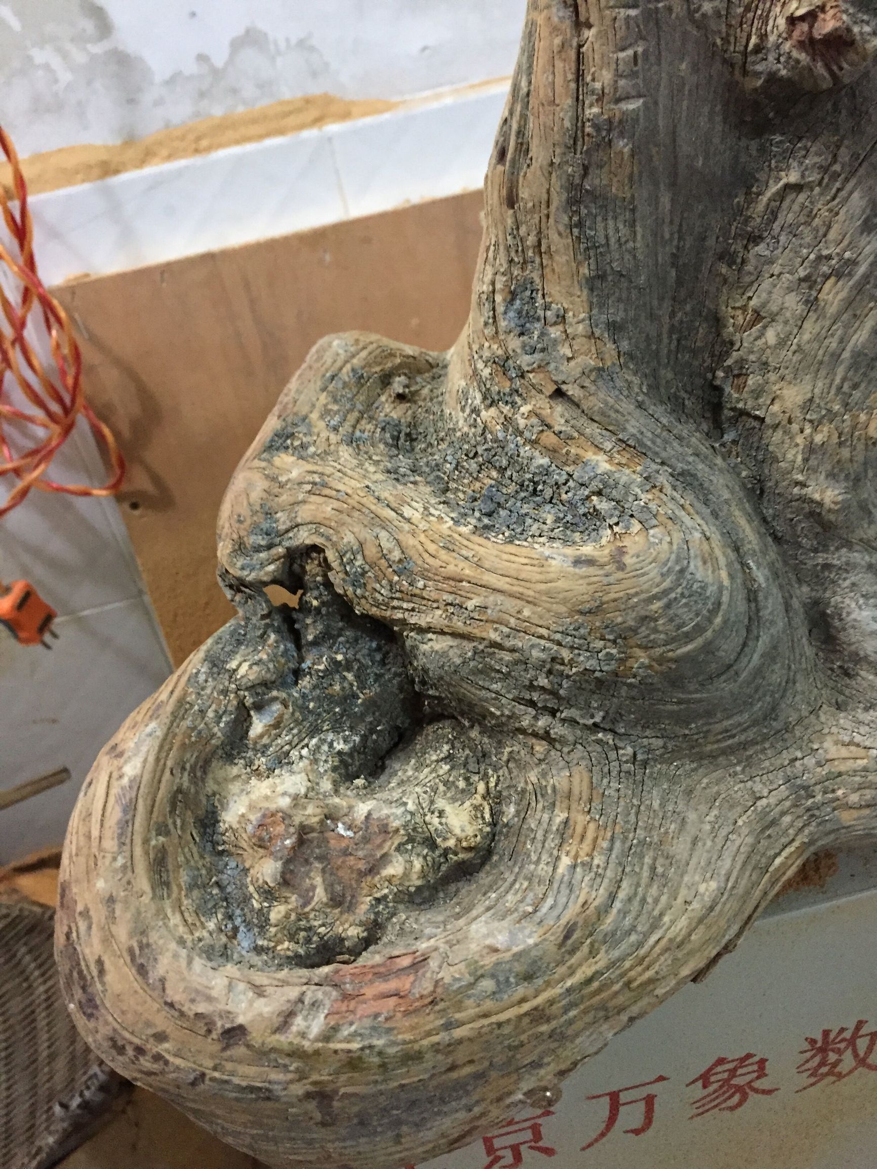 崖柏毛料去皮的正确打开方式,用纱布手磨崖柏毛料技巧