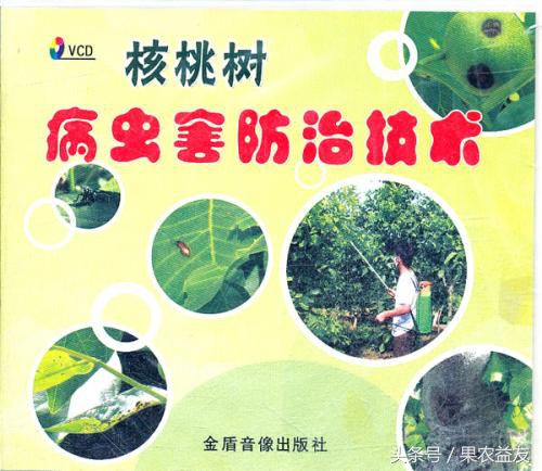 核桃怎么防止招虫害呢图片,地下核桃虫的防治办法