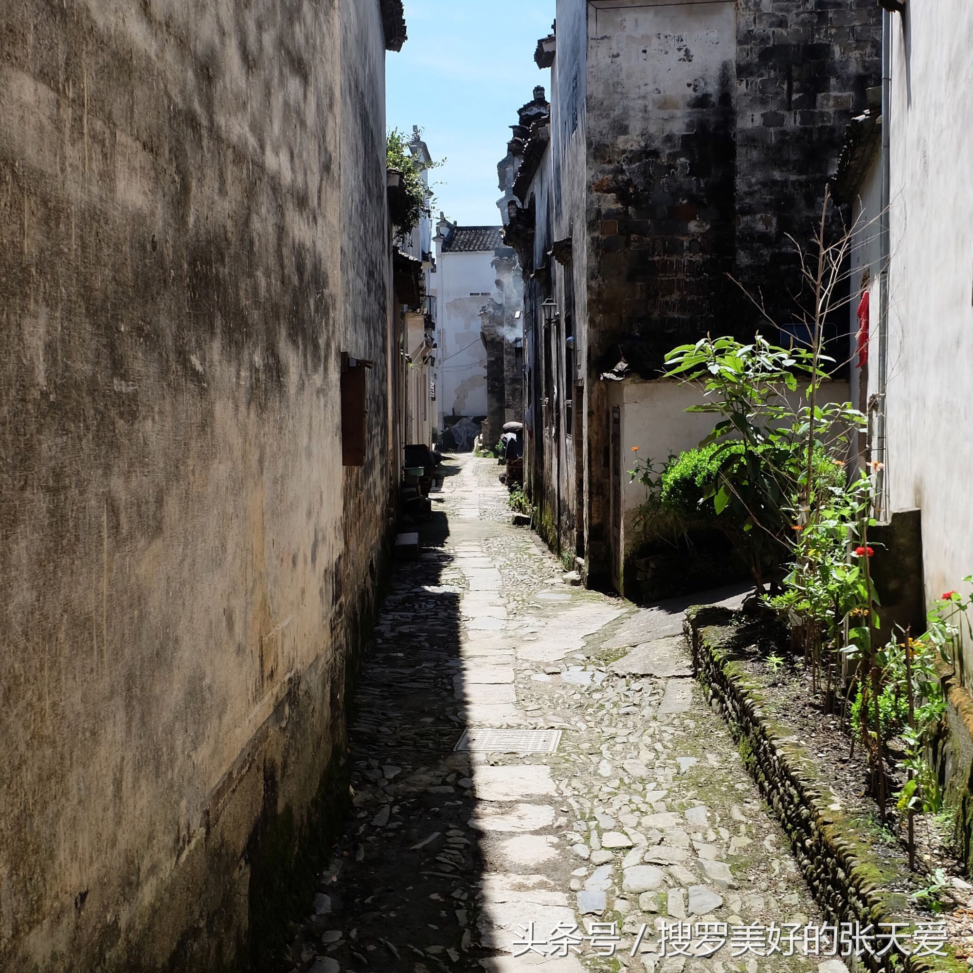 自然环境酒店,最美黄山酒店