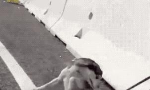 “谢谢你爱我，谢谢你一直都在”看完泪奔！