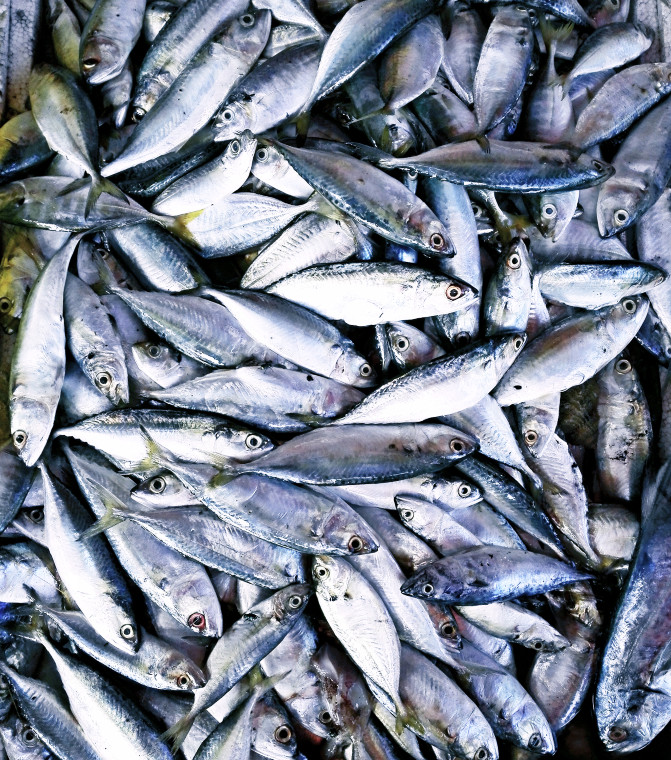 别犯懒癌了，我们相约去北海吧！