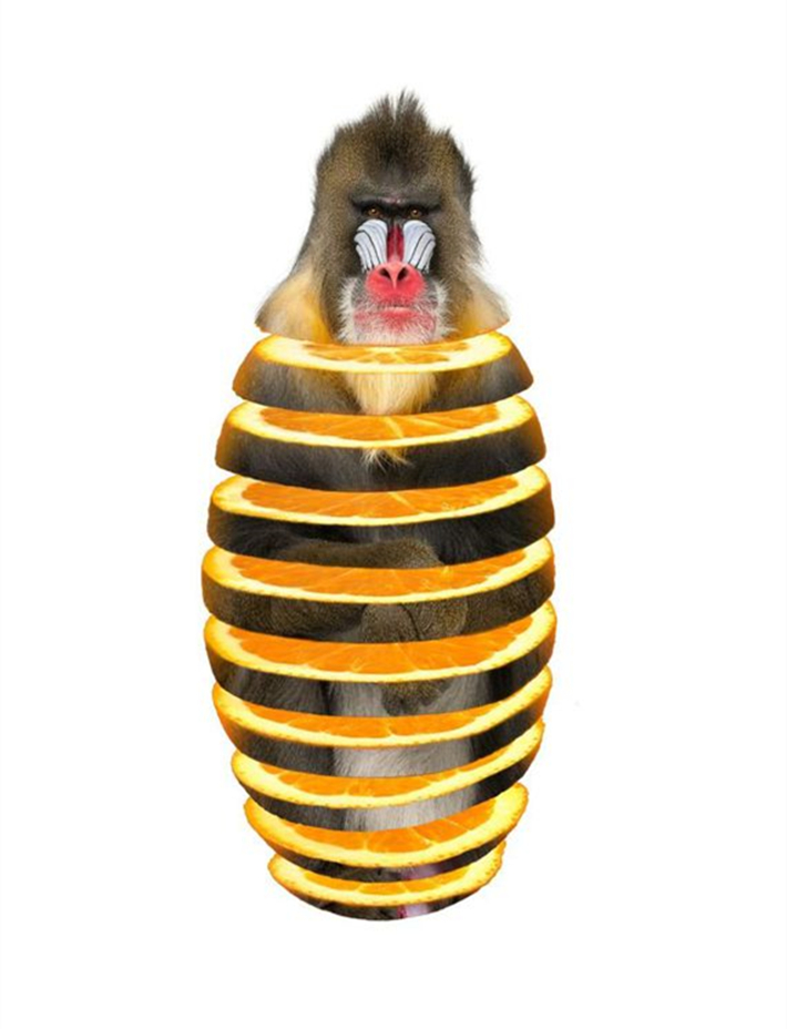 蔬果动物造型创意作品简单,灵感脑洞大开的动物创意合成